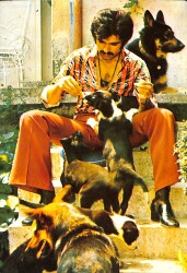 Serdar Gökhan Kartpostal (Küçük Boy) KRT22496 - Gökçekoleksiyon