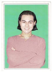 Serdar Ortaç Kartpostal KRT8553 - Gökçekoleksiyon