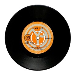 Sermin Can - Gülmek Yokmuş Kaderde Hayat Çökmüş Omuzuma (107) PLK561 - 1