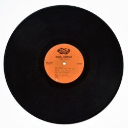 Serpil Örümcer - Aşka Hasret LP PLAK PLK1673 - 1