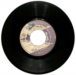 Sevda Alpay - Diloy Loy Fakir Bir Şairim (105.5) PLK12424 - 1