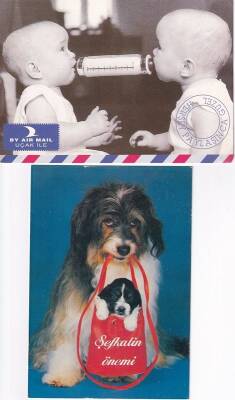 Sevgi, Şevkat Temalı 2li Kartpostal KRT10393 - 1