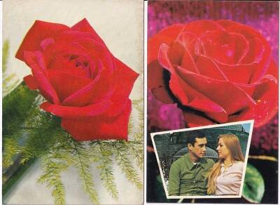 Sevgi Temalı 2li Kartpostal KRT10422 - 1