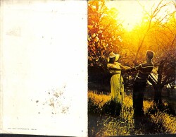 Sevgi Temalı Açılır Kapaklı Kartpostal KRT2257 - 2