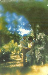 Sevgi Temalı Kartpostal KRT2145 - Gökçekoleksiyon