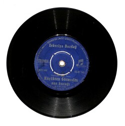 Zekeriya Bozdağ - Küçükten Görmedim Ana Kucağı / Nar Ağacı (10/6) PLK24405 - Gökçekoleksiyon