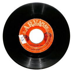 Sevim Karan - Aldatılmayan Varmı Dert Üstüne Dert Plak (106.5) PLK20310 - 1