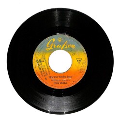 Sevim Şengül (Alman Basım) - Yitirmişim Ben Gülümü Ömrümü Verdim Sana (107) PLK187 - 2