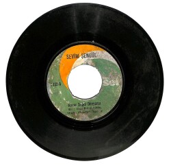 Sevim Şengül - Nazar Değdi Dünyama O Ağacın Altını Plak (106) PLK20298 - 1