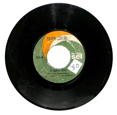 Sevim Şengül - Nazar Değdi Dünyama O Ağacın Altını Plak (106) PLK20298 - 2