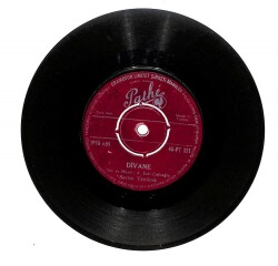 Sevim Tanürek - Divane Benim Belalı Gönlüm PLAK (107) PLK16918 - 1