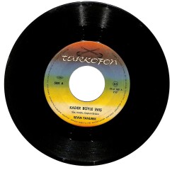 Sevim Tanürek - Kader Böyle İmiş / Maziyi Unutma 45'lik Plak PLK28276 - Gökçekoleksiyon