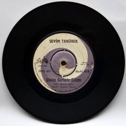 Sevim Tanürek - Maziyi Nasıl Taşlarla Çizmişse Denizler PLK3711 - 2