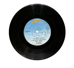 A.Atasoy Ayşe Mine - Hopşirinini / Bir Dünya Kuralım PLAK (10/7.5) PLK24564 - Gökçekoleksiyon