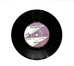 Erol Büyükburç - Gözlerime İyice Bak / Kırık Kalp PLAK (10/8) PLK23478 - Gökçekoleksiyon