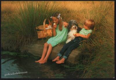 Sevimli Arkadaşlar Kartpostal KRT2263 - 1