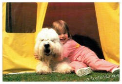 Sevimli Arkadaşlar Kartpostal KRT2264 - Gökçekoleksiyon