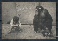 Sevimli Arkadaşlar Kartpostal KRT2269 - Gökçekoleksiyon