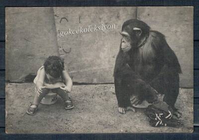 Sevimli Arkadaşlar Kartpostal KRT2269 - 1