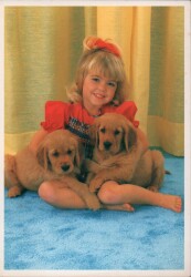 Sevimli Arkadaşlar Kartpostal KRT2659 - Gökçekoleksiyon