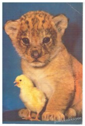 Sevimli Arkadaşlar Kartpostalı KRT2601 - Gökçekoleksiyon