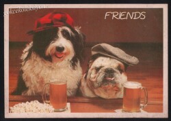 Sevimli Arkadaşlar Kartpostalı KRT2642 - Gökçekoleksiyon