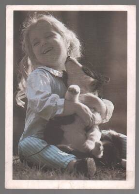 Sevimli Arkadaşlar Orta Boy Kartpostal KRT5149 - 1
