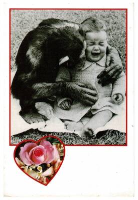 Sevimli Bebek Temalı Kartpostal KRT9647 - 1