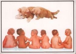 Sevimli Bebekler Kartpostal KRT2304 - Gökçekoleksiyon