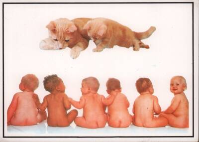 Sevimli Bebekler Kartpostal KRT2304 - 1