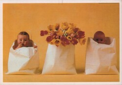 Sevimli Bebekler Kartpostal KRT2422 - Gökçekoleksiyon