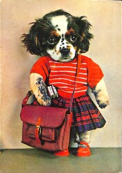 Sevimli Hayvan Temalı Kartpostal (Küçük Boy) KRT21388 - Gökçekoleksiyon