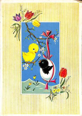 Sevimli Hayvanlar Temalı Kartpostal KRT16394 - 1