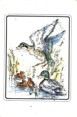 Sevimli Hayvanlar Temalı Simli Kartpostal KRT12161 - 1