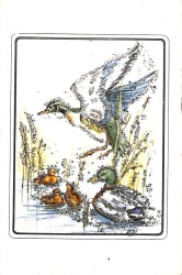 Sevimli Hayvanlar Temalı Simli Kartpostal KRT15003 - Gökçekoleksiyon