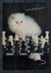 Sevimli Kedi Fare Kartpostalı KRT2585 - Gökçekoleksiyon