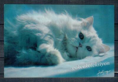 Sevimli Kedi Kartpostalı KRT2606 - 1