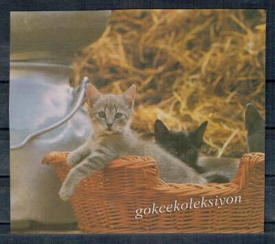 Sevimli Kedi Kartpostalı KRT2669 - 1
