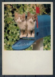 Sevimli Kediler Kartpostalı KRT2638 - Gökçekoleksiyon