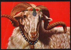 Sevimli Koç Kartpostalı KRT2621 - Gökçekoleksiyon