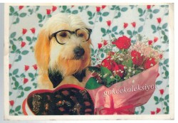 Sevimli Köpek Kartpostalı KRT2637 - Gökçekoleksiyon