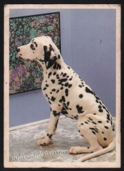 Sevimli Köpek Kartpostalı KRT2667 - Gökçekoleksiyon