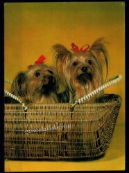 Sevimli Köpek Kartpostalı KRT2670 - Gökçekoleksiyon