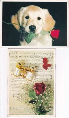 Sevimli Köpek ve Gül 2li Kartpostal KRT10391 - 1