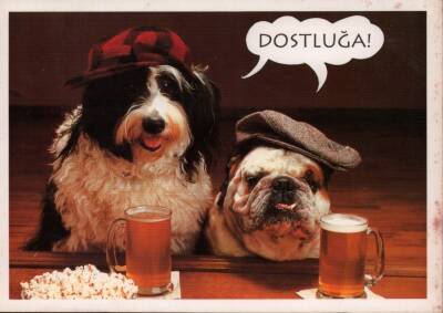 Sevimli Köpekler Kartpostal KRT3396 - 1