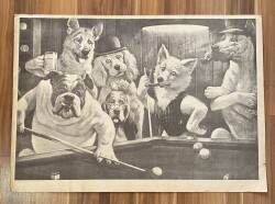 SEVİMLİ KÖPEKLER ULTRA DEV BOY KARTPOSTAL (70X50 cm) KRT17492 - Gökçekoleksiyon