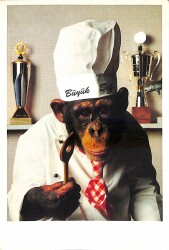 Sevimli Maymun Kartpostalı KRT18671 - Gökçekoleksiyon