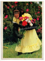 Sevimli Maymun Kartpostalı KRT2675 - Gökçekoleksiyon