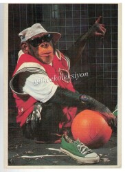 Sevimli Maymun Kartpostalı KRT2678 - Gökçekoleksiyon