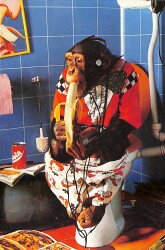 Sevimli Maymun Kartpostalı KRT2681 - Gökçekoleksiyon